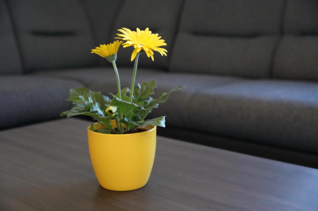 Apartment Dora Преко Екстериор снимка
